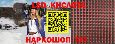 крисы Кунгур
