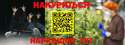 крисы Кунгур