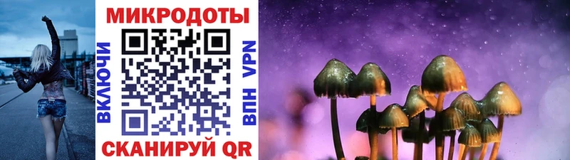 Псилоцибиновые грибы Psilocybine cubensis  где можно купить   Канск 