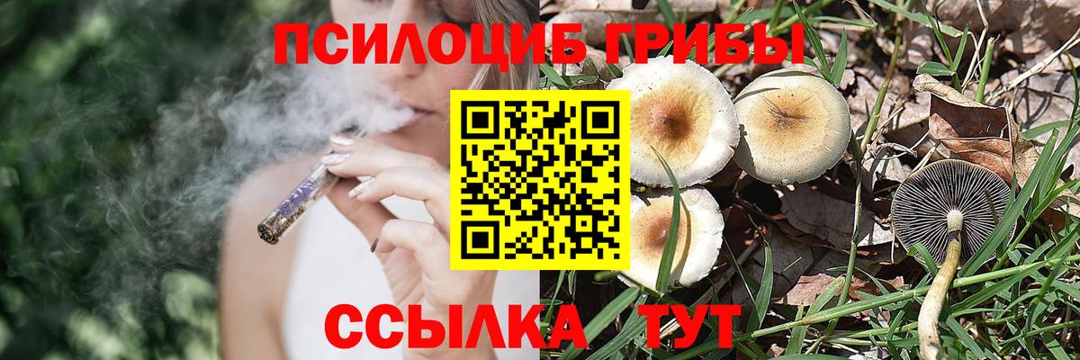 Бошки Шишки  МЕФ  Гашиш  Канск  Cocaine  Меф   Вход с VPN 