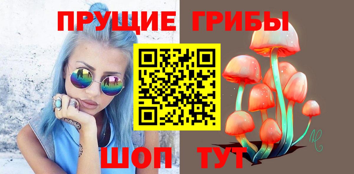 Псилоцибиновые грибы Cubensis  Вход с VPN  Канск 